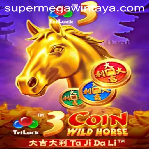 SUPERMEGAWIN Casino Withdrawal